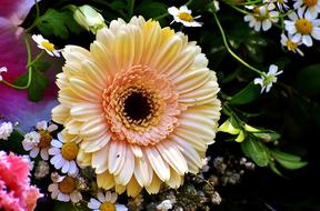 a big flower in a bouquet on the foliage
