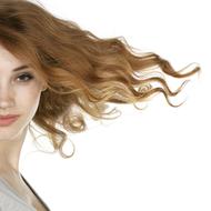 Model Beautiful Portrait
