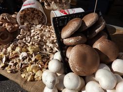 raw mushrooms in a box