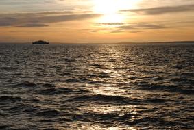 Sea Backlight Waves