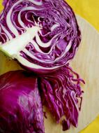 pink cabbage