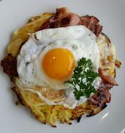 vegetable dish with egg
