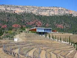farm wine garden