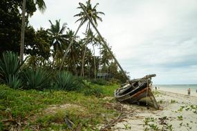 Boat Wreck Sea