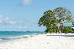 Beach Dharavandhoo Baa