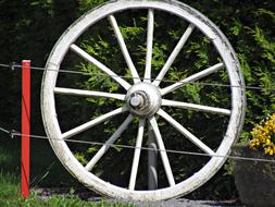 Wheel Car Wooden