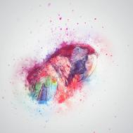 parrot bird feathering nature