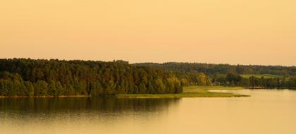 Nature View Landscape