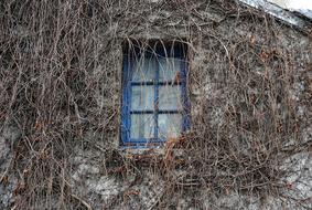 Window on House Wall