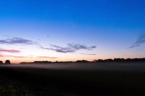 evening view of the field