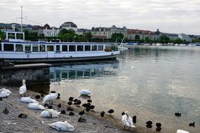 City Europe Zurich