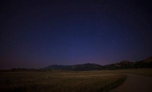 evening landscape in the meadow