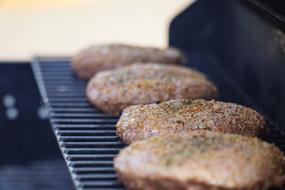 delicious grilled burgers