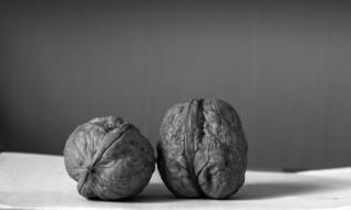 two nuts on the table