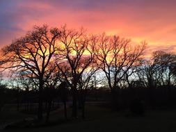 Sunset Orange Sun