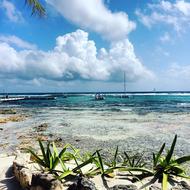 Sun Surf Vacation