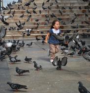 girl running after pigeons