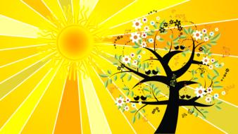 summer solstice sun rays background
