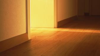 Door Ground Light