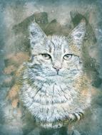 cat pet art abstract watercolor