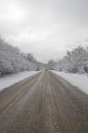 Winter Road