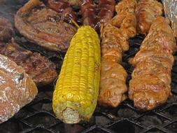 roasted delicious corn