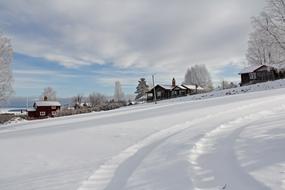 All White Cover Snowy countryside