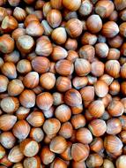 harvest of ripe nuts