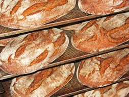 Selling delicious bread