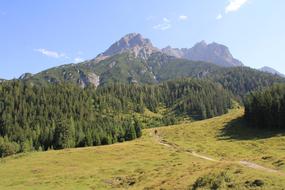 mountains with a meadow and a path