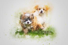 dog pet puppy art abstract