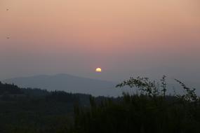 Sunset