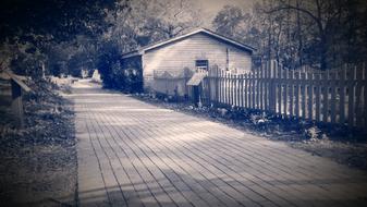 Sepia Clemson Walkway street