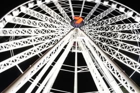 Wheel Night Travel
