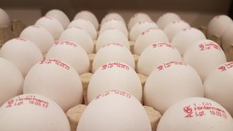 signed eggs in a box
