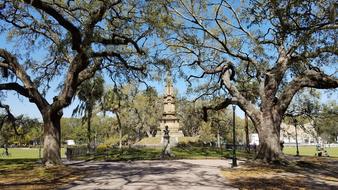 park trees church