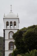 white tower with green trees