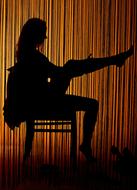 Female Erotic silhouette on Curtain