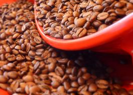 aromatic coffee beans in a plate