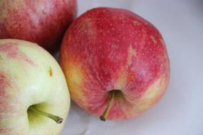fresh aromatic apples
