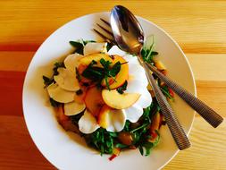 tasty salad on a plate