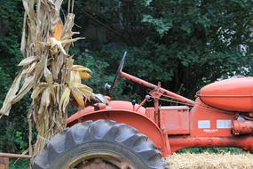 Tractor Corn Stalks Red