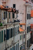 Pigeons Dubrovnik Old Town