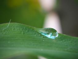 Drop Of Water Drip