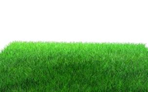 green grass for the field