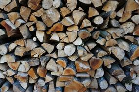 Wood Beech Firewood Holzstapel