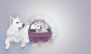 cute dogs pet in basket art