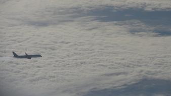 Plane Airplane Flight
