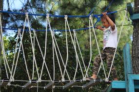 Smiling child, climbing on the playground, near the green trees in Jakarta, Indonesia