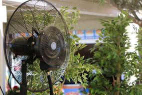 fan blows on the plants